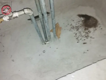 锡山卫生间测漏水价格明细